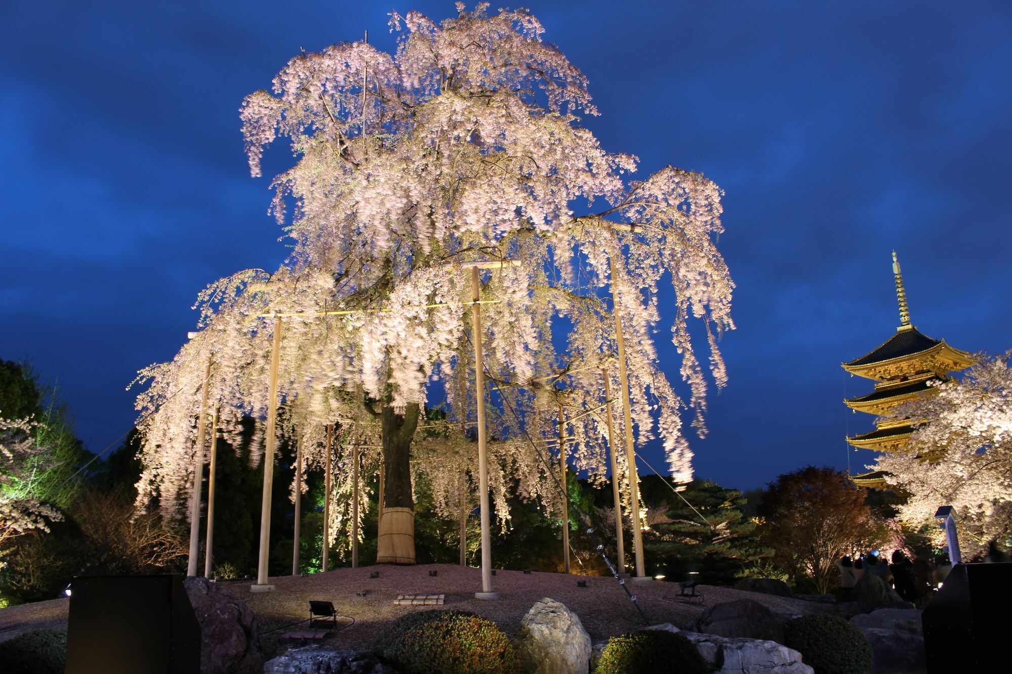 Stay Sakura Kyoto Toji South I Exterior foto